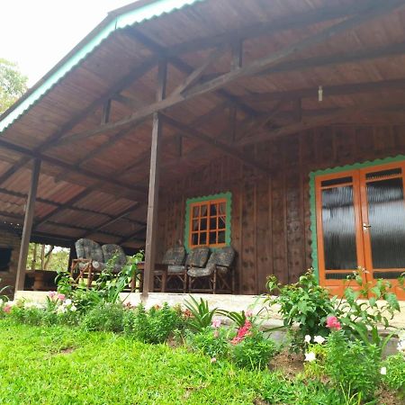 Sitio Recanto Da Guarda - Cabana Araucaria Bom Retiro  Exterior photo